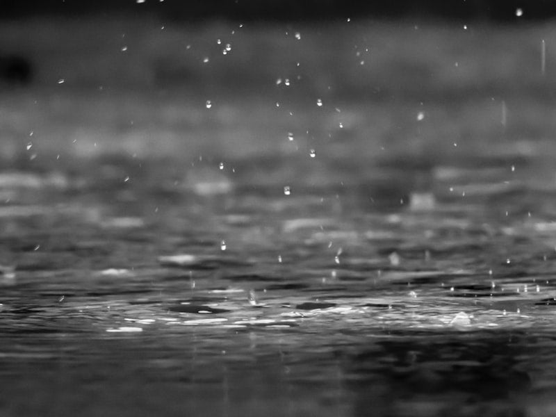 Amber Rain-Type Unisex