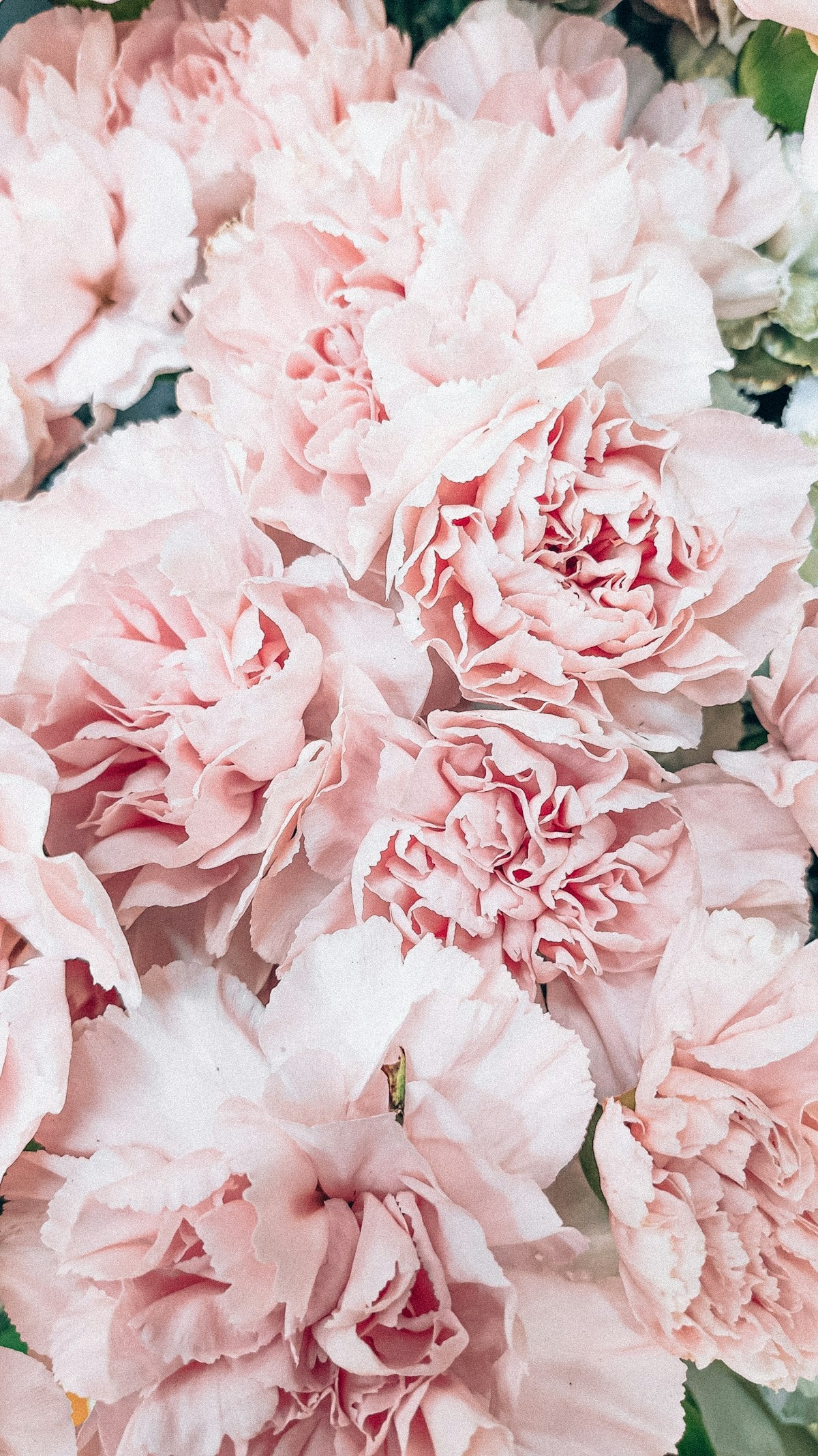 Gucci Floral Libre-Type Women